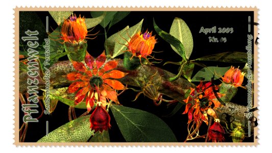 Stamp compendiums Free illustrations