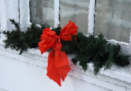 Christmas holiday poinsettia