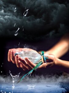 Water creature wave mystical