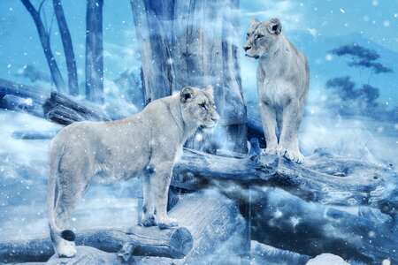 Animal art vintage