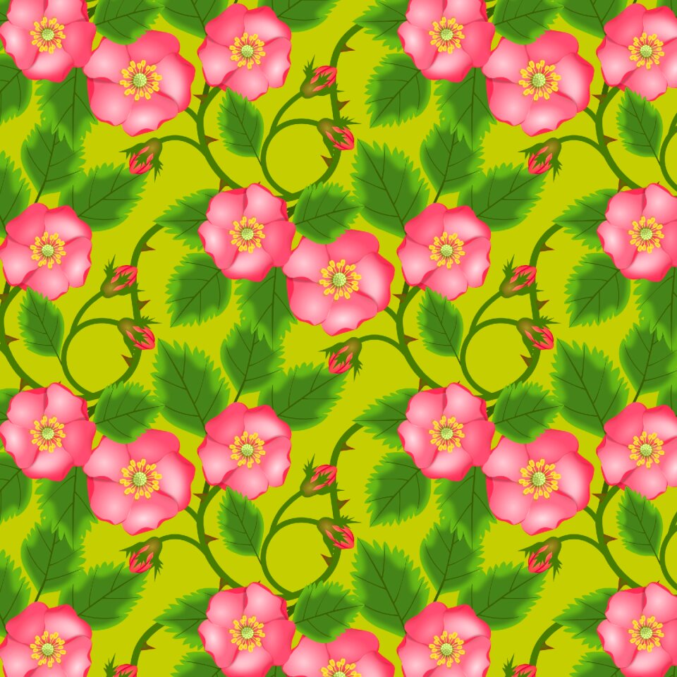Bud pink red