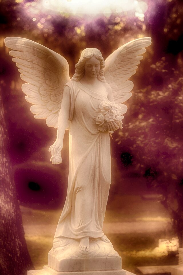 Holy peace divine