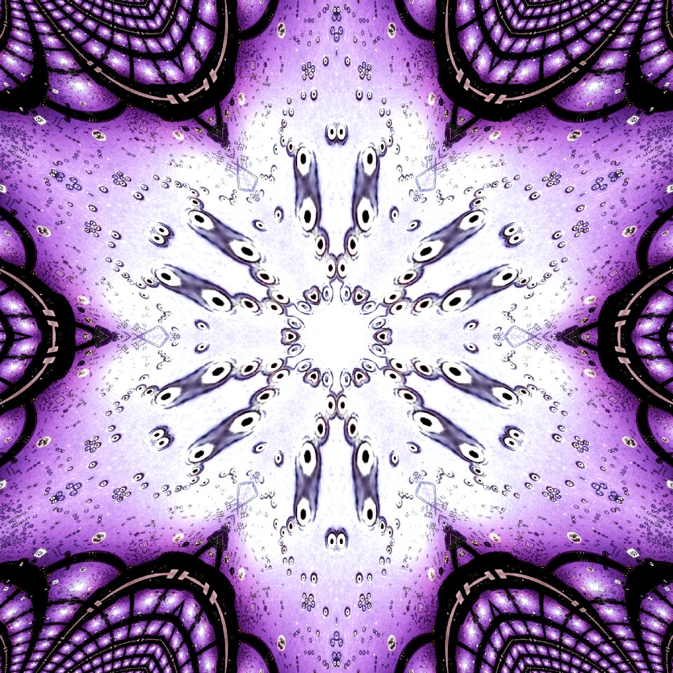 Abstract flower surreal