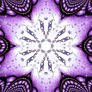 Abstract flower surreal