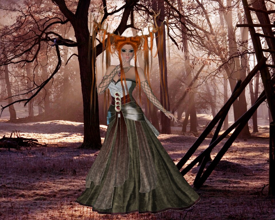 Woodland forest magic