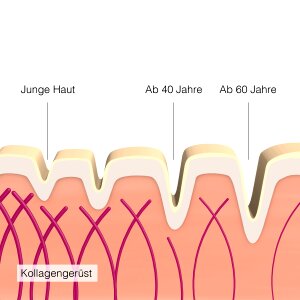 Beauty skin Free illustrations