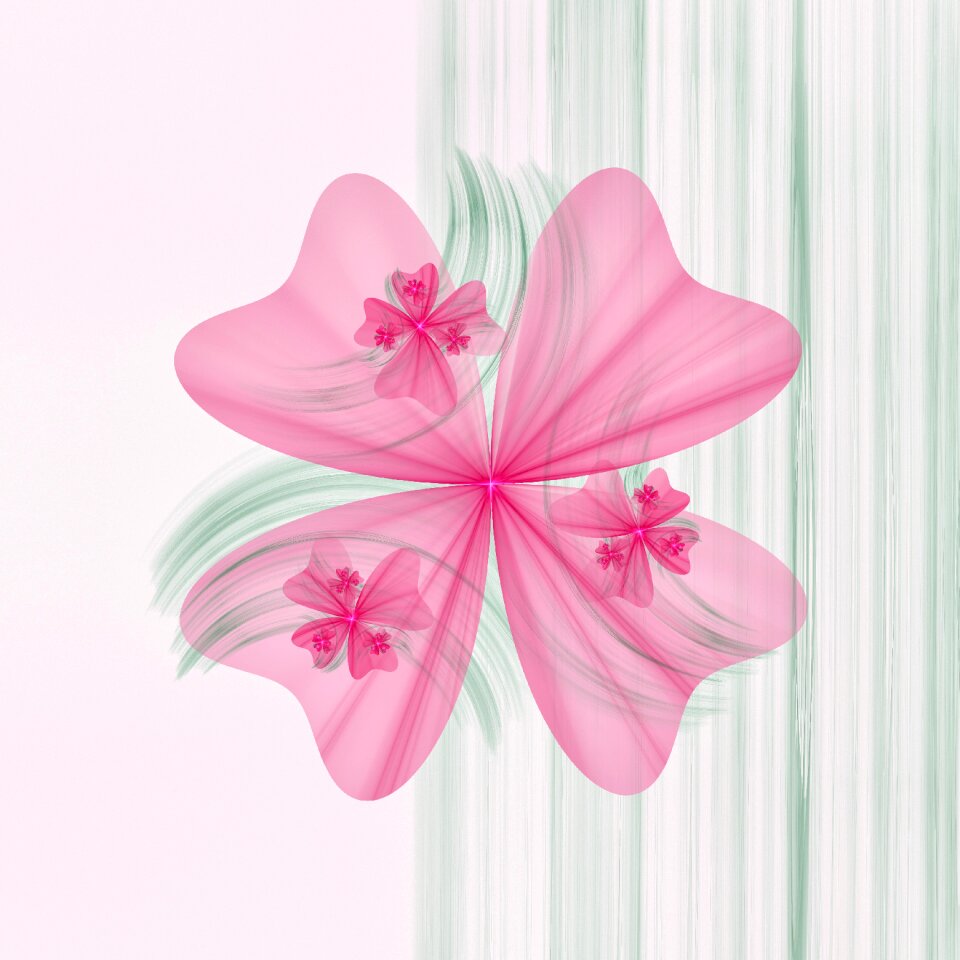 Blossom bloom pink