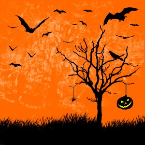Decoration bats Free illustrations