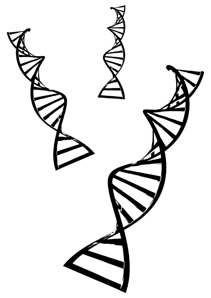 Gene genetic biology
