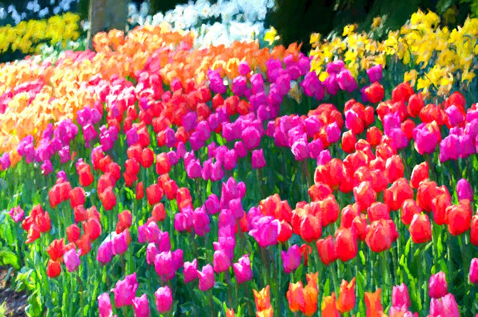 Valley spring garden