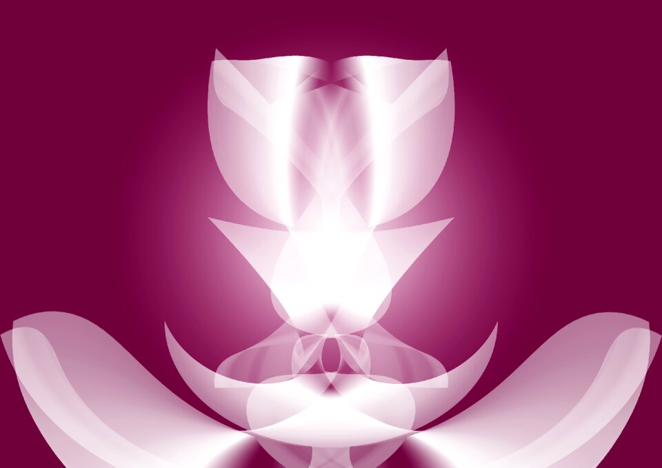 Transparent flower transparency pink gradients