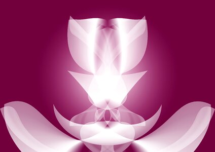 Transparent flower transparency pink gradients
