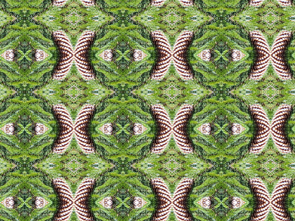 Graphics pattern Free illustrations