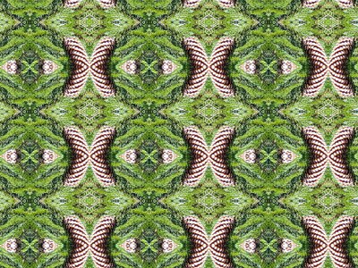 Graphics pattern Free illustrations