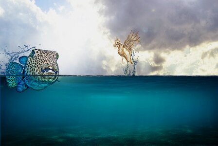 Clouds underwater ocean