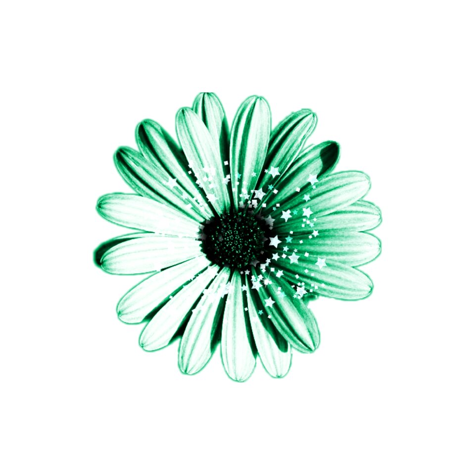 Jade nuance Free illustrations