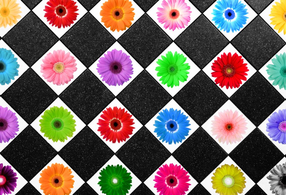 Pattern texture colors