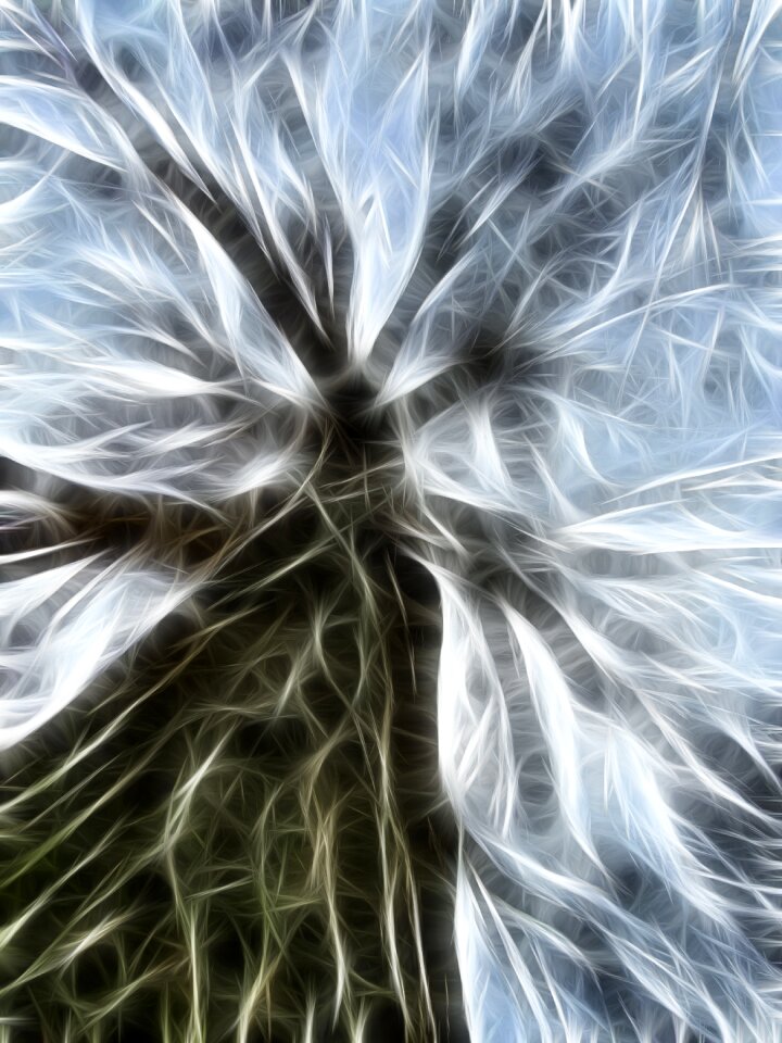 Nature texture bright