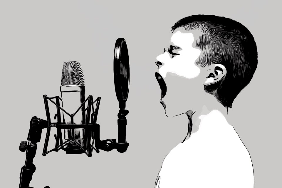 Shouting professional gray