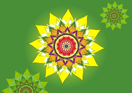 Flower line graphic Free illustrations
