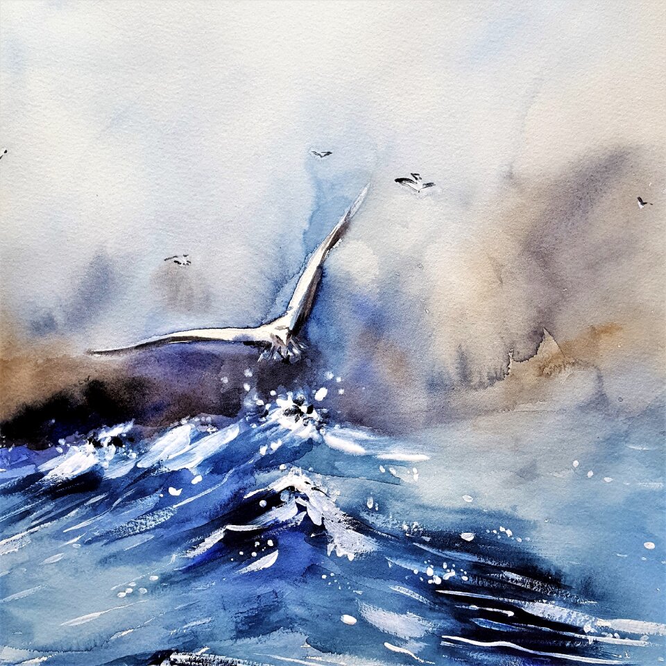 Storm seagull bird
