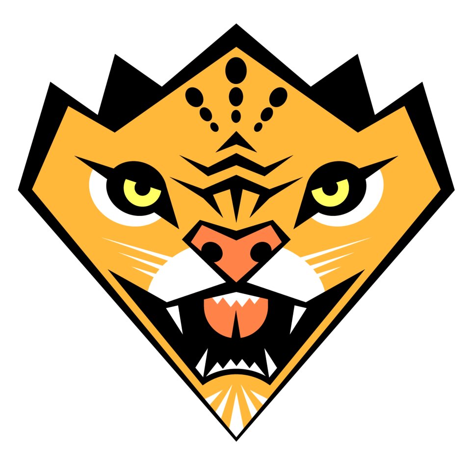 Character design adobe illustrator logo design