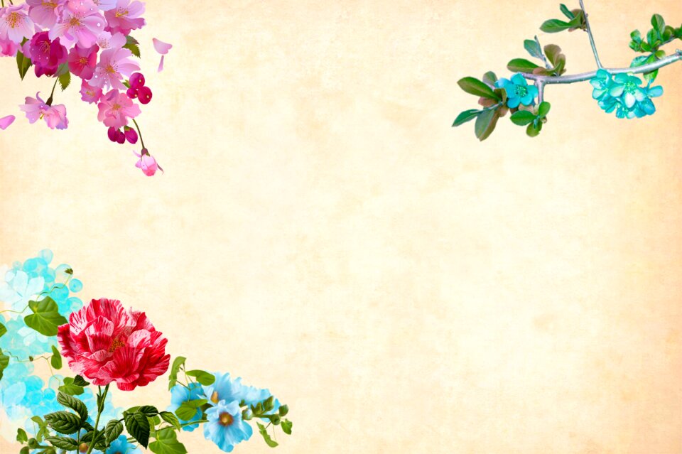 Floral border garden frame