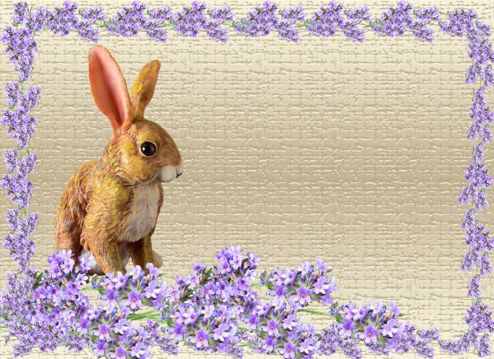 Flowers lavender Free illustrations
