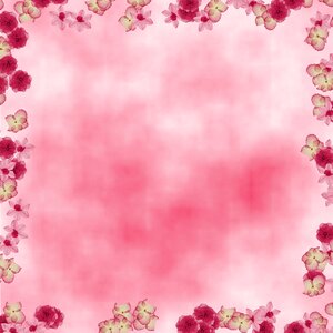 Pink flowers grunge