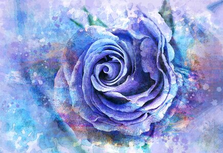 Romantic floral design