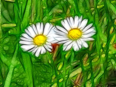 Nature plant color