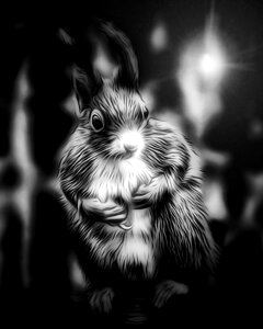 Portrait cute a