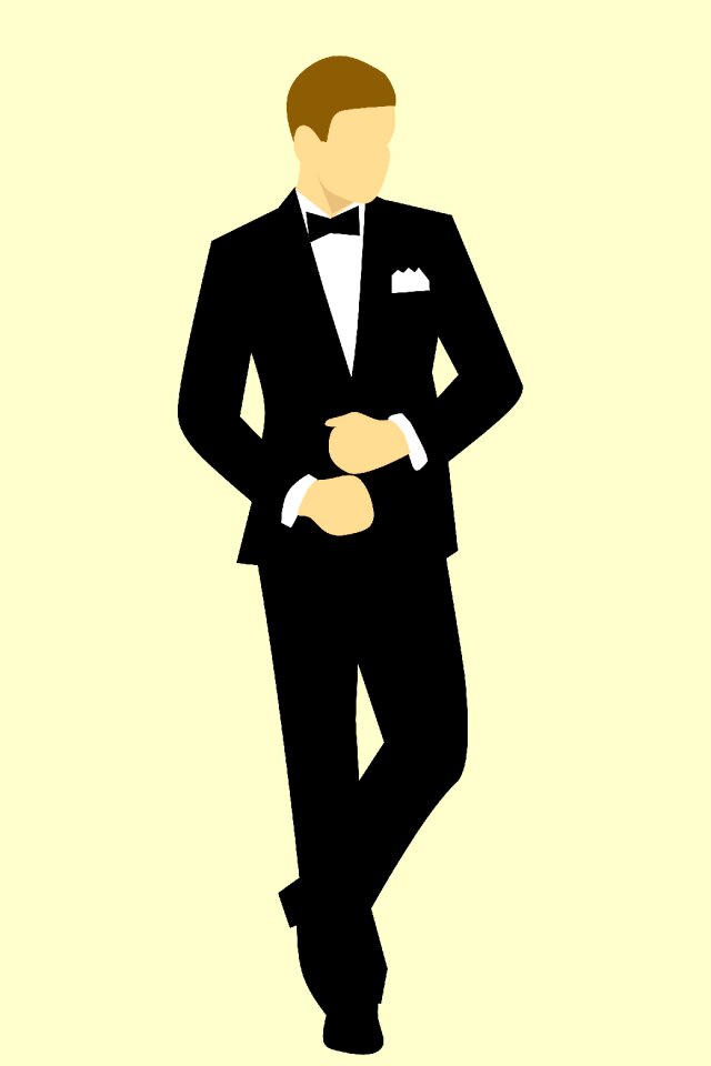Fashion tuxedo groom