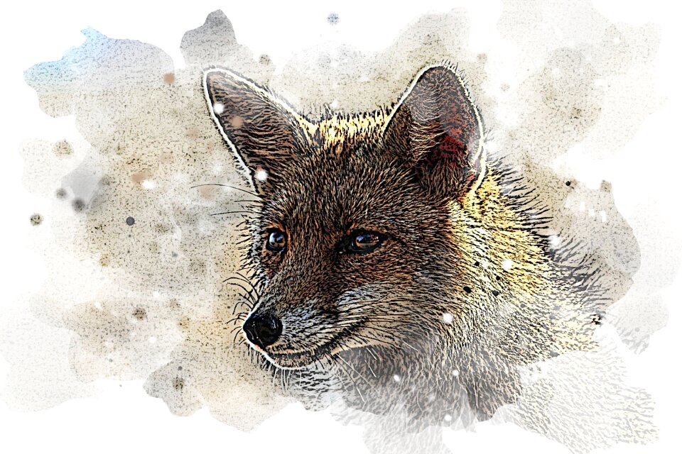 Fox animal gimp