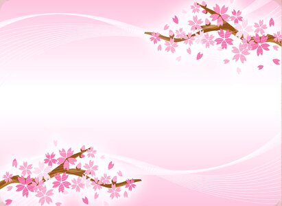 Flower pink blossom