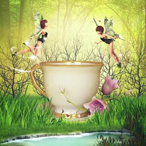 Outdoors fairy Free illustrations