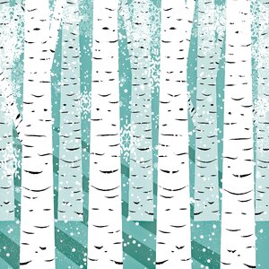 Winter nature birch