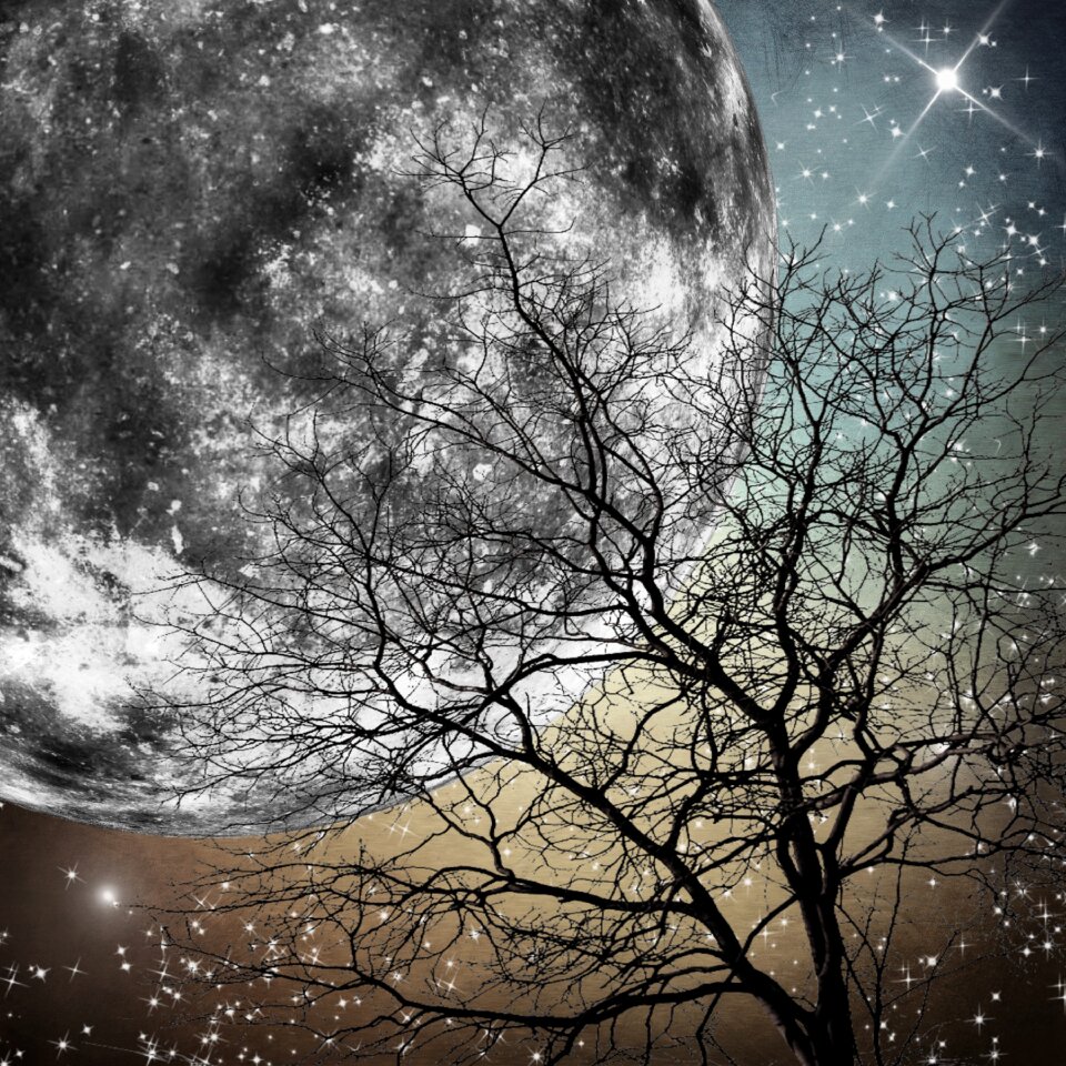 Night nature fantasy