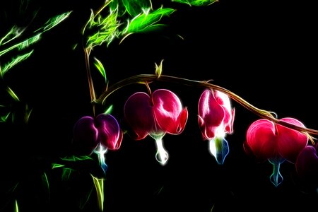 Nature garden color