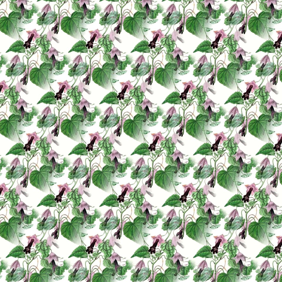Floral green vintage Free illustrations
