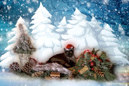 Winter decoration december