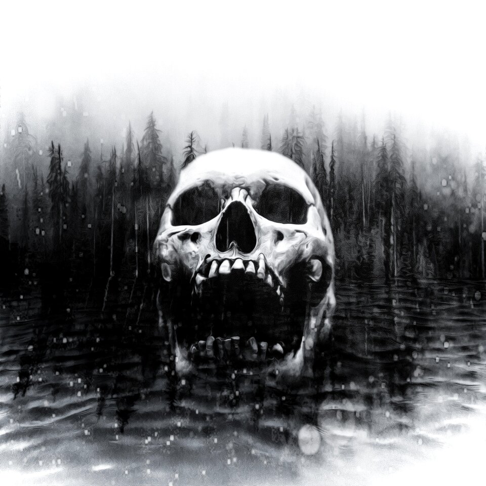 Creepy gray forest gray art
