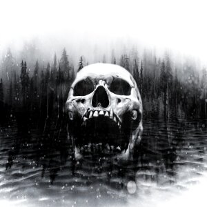 Creepy gray forest gray art