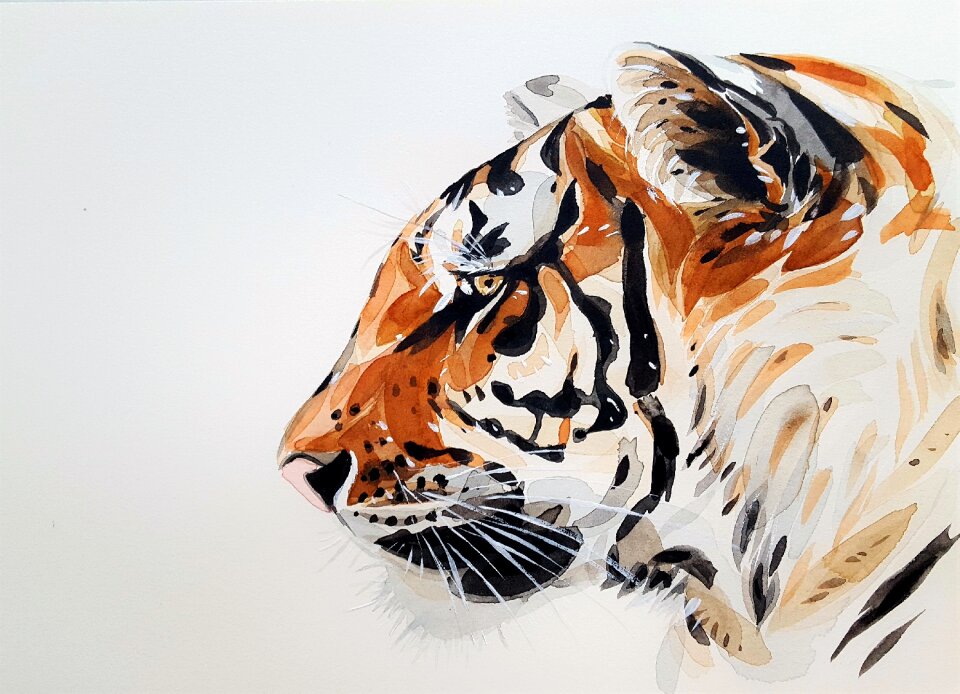Painting watercolor profile