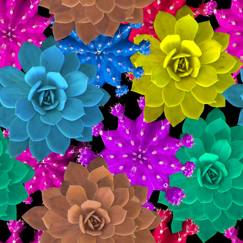 Photos purple fractal