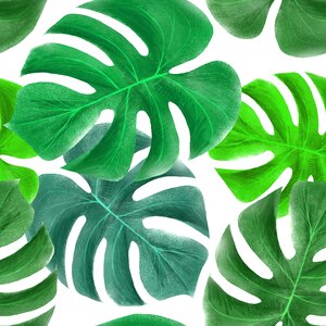 Picture wallpaper for girls Free illustrations