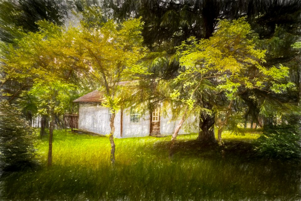 Grass wood art