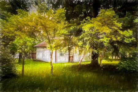 Grass wood art