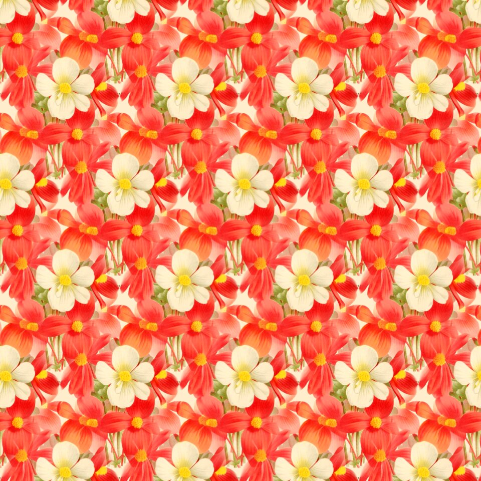 Decorative seamless Free illustrations