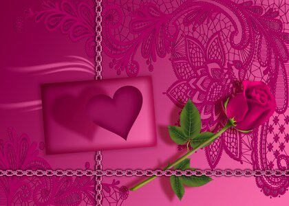 Love flower background